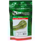 ABOBORA CANHAO SEC. GIG. 100 GR