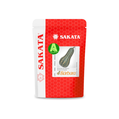 ABOBORA HIBRI. BARBARA 1.000 SEM.