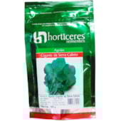 AGRIAO SERRA CALIXTO (HS)