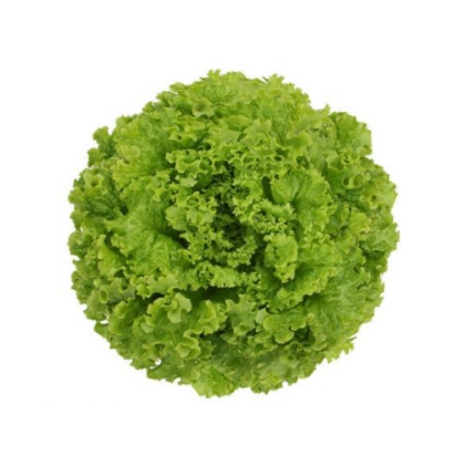 ALFACE PSIQUE 7.500 SEM.