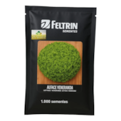 ALFACE VENERANDA - 1000 SEMENTES - FELTRIN