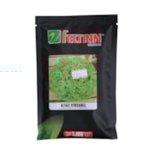 Alface Veneranda -  5.000 sementes – Feltrin
