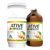 ATIVE ADE INJETAVEL 250 ML
