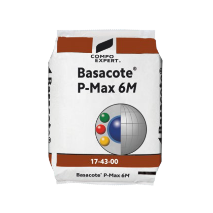 BASACOTE P MAX (6M) 25 KG