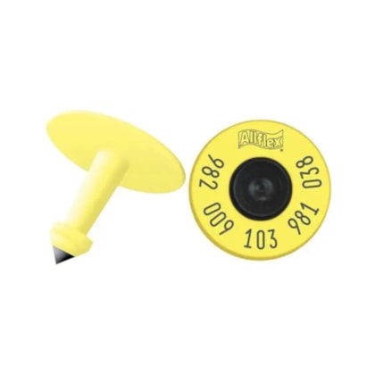 BRINCO CHIP ELETRONICO