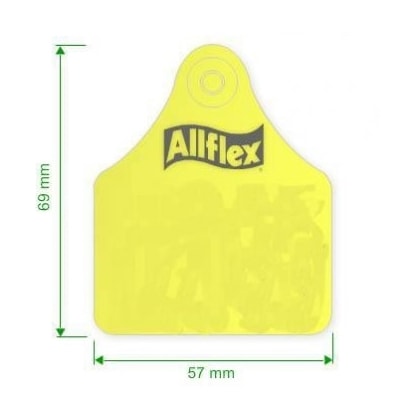 BRINCO GRANDE (SER) (25 UNID.)