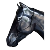 CABRESTO DE CORDA DOMA M INOX (CORES)