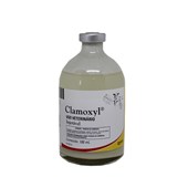 Clamoxyl - Amoxilina Injetável - 100 mL - Zoetis