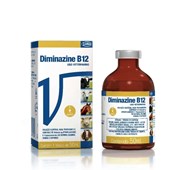DIMINAZINE VALLEE B12 - 50 ML