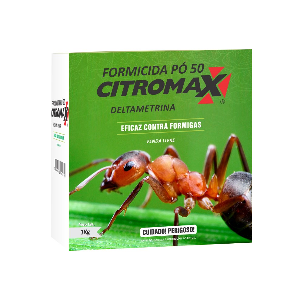 Acabar com formigas: 7 melhores formicidas (+ dicas extras)
