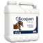 GLICOPAN ENERGY 5 LT