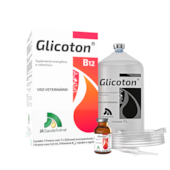 GLICOTON B12 1 LT