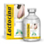 LACTOCINA 100 ML
