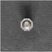 MARGARIDA 24MM STRASS COM PARAFUSO - SN