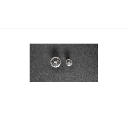 MARGARIDA 38MM STRASS COM PARAFUSO  -  SN