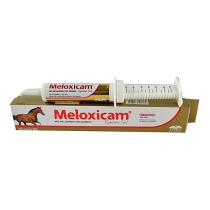Meloxicam Equinos Gel Anti-in?amatório 35 gramas - Vetnil