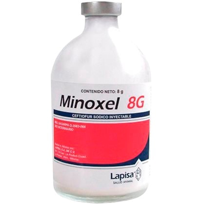 MINOXEL 8G 100 ML