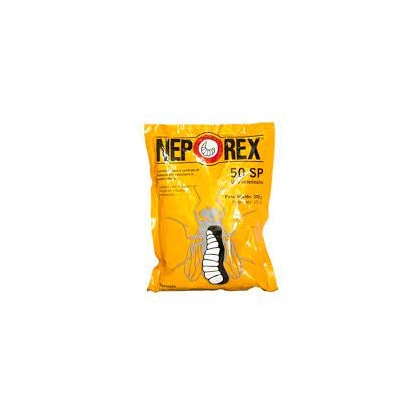 NEPOREX 100 GR