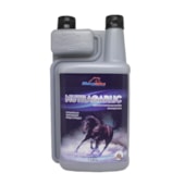 NUTRAGARLIC - 1 LITRO - MARCONUTRA