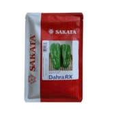 PIMENTAO HIBRI. DAHRA RX 1.000 SEM.