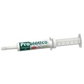 PROBIOTICO 34 GR