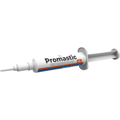 Promastic - 1 bisnaga - Vilavet