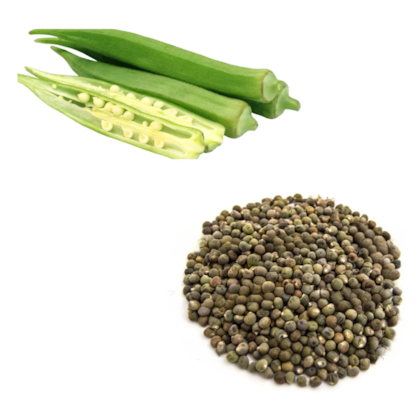 QUIABO SANTA CRUZ 47 1 KG