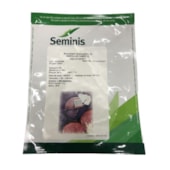 Repolho hibrido – Red Dynasty – 1.000 Sementes – Seminis