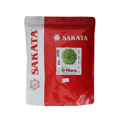 Semente Alface Milena – 25.000 sementes – Sakata