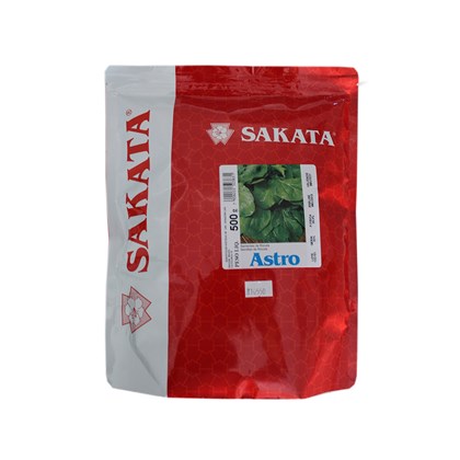 Semente de Rúcula Astro – 500 gramas - Sakata
