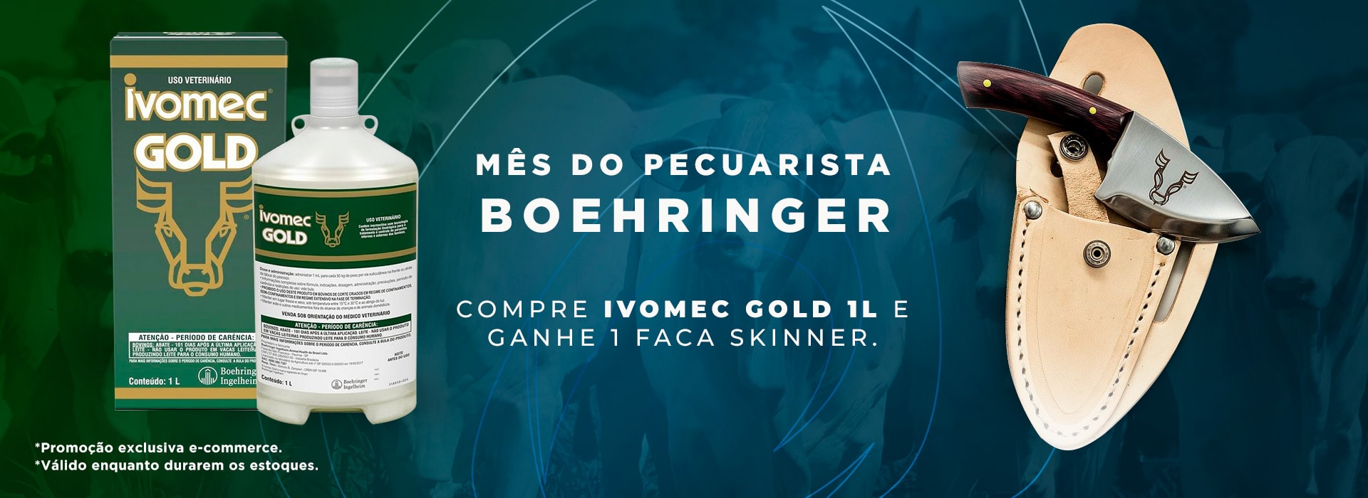 Compre e Ganhe